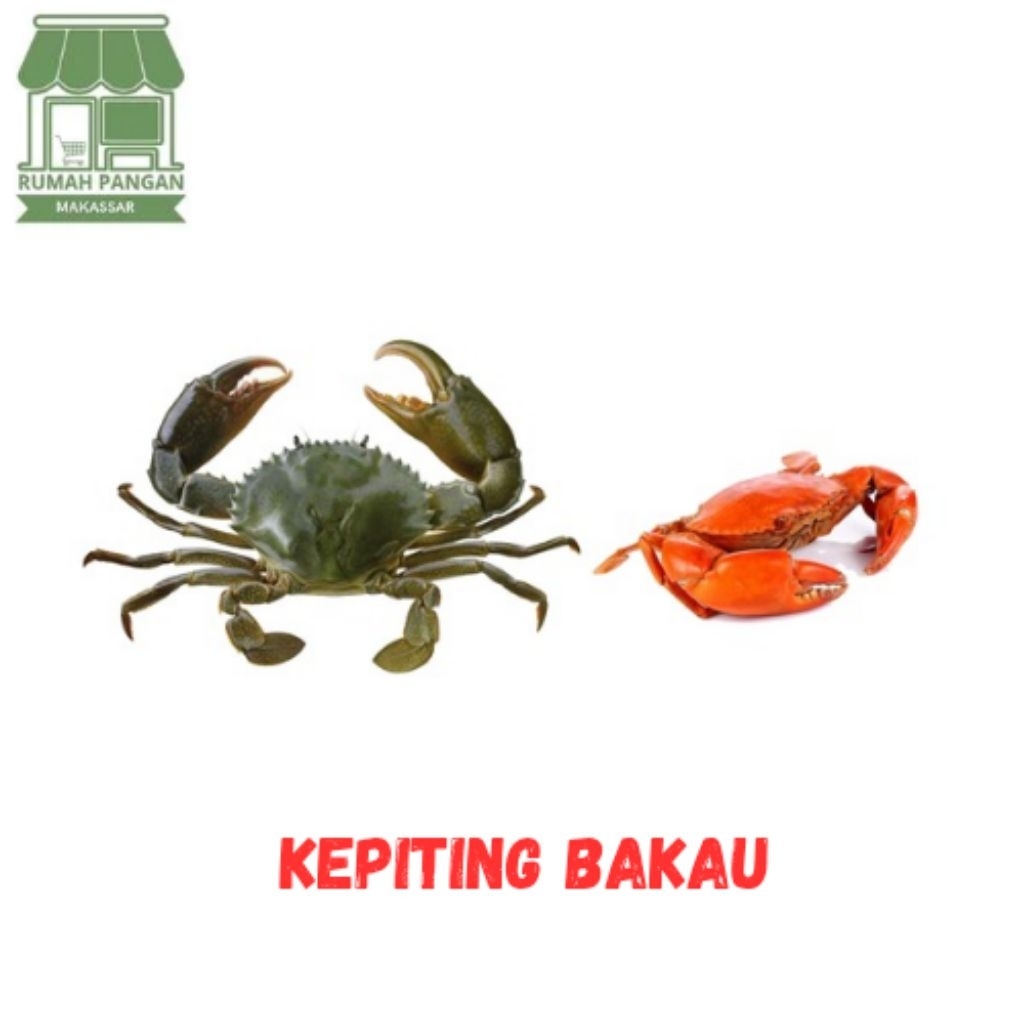 

kepiting bakau