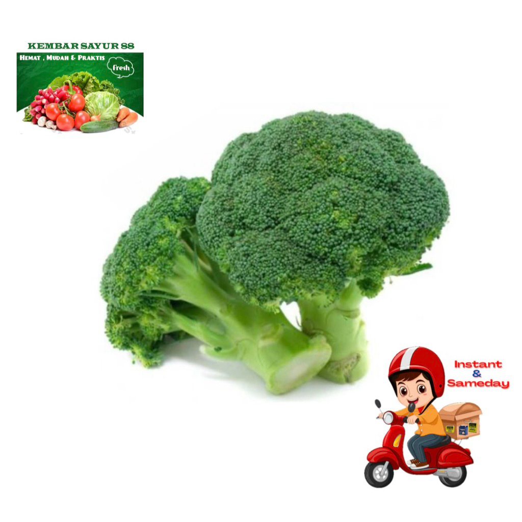 

Brokoli - kembarsayur88