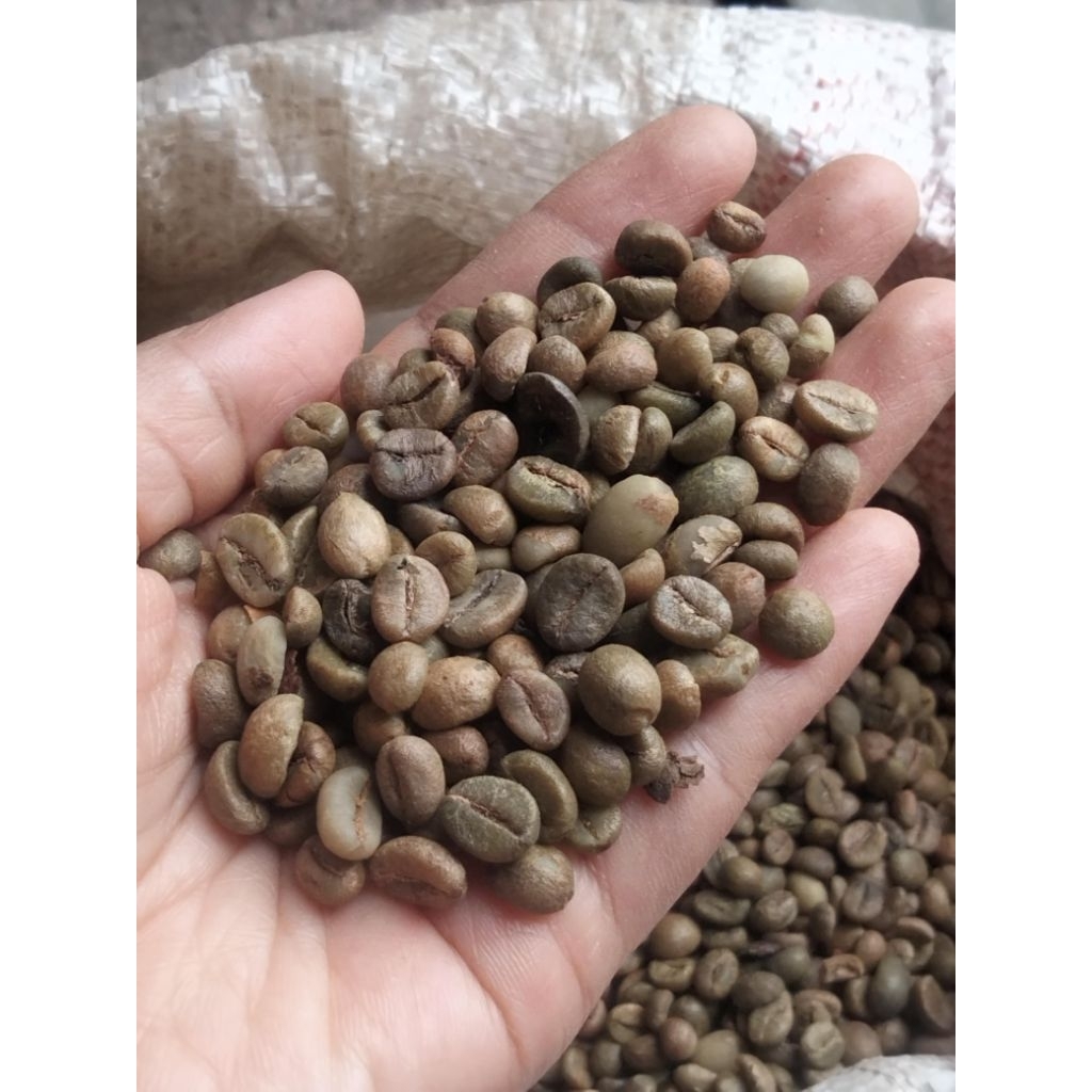 

Biji Kopi Mentah Robusta Jawa Blitar 1 kg/green been premium quality