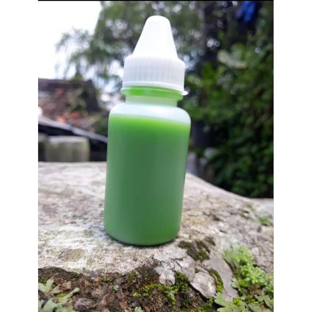 ESSEN GALATAMA LELE TERGACOR