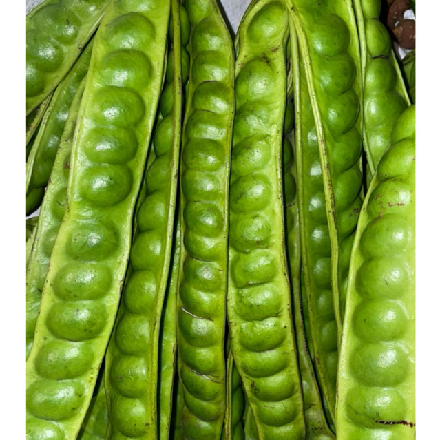 

PETE KUALITAS SUPER 1 IKAT 10 PAPAN