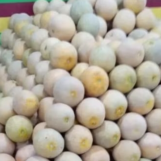 

melon 1 buah berat 1,2 kg