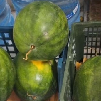 

semangka merah 1 buah 2,7 kg