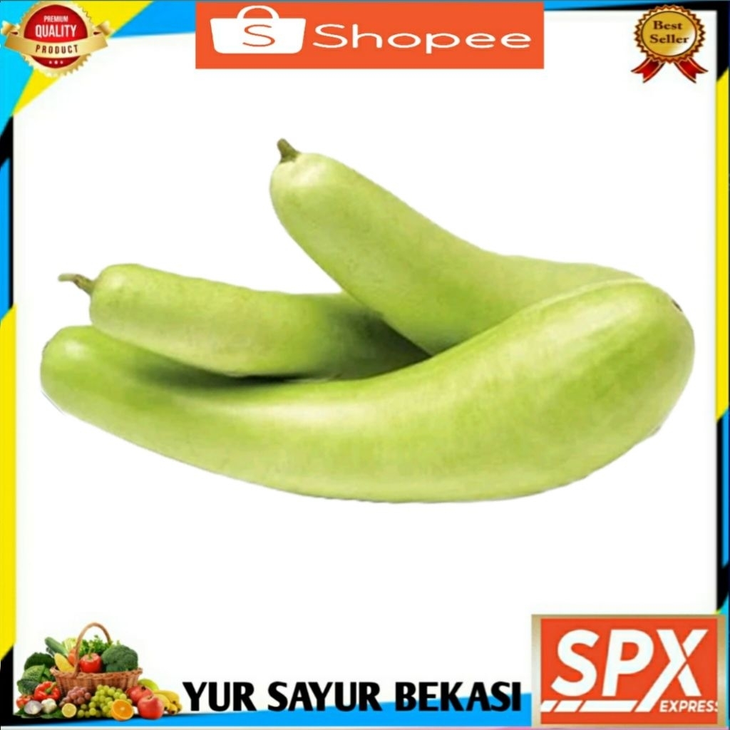 

Labu Air Putih Perbiji