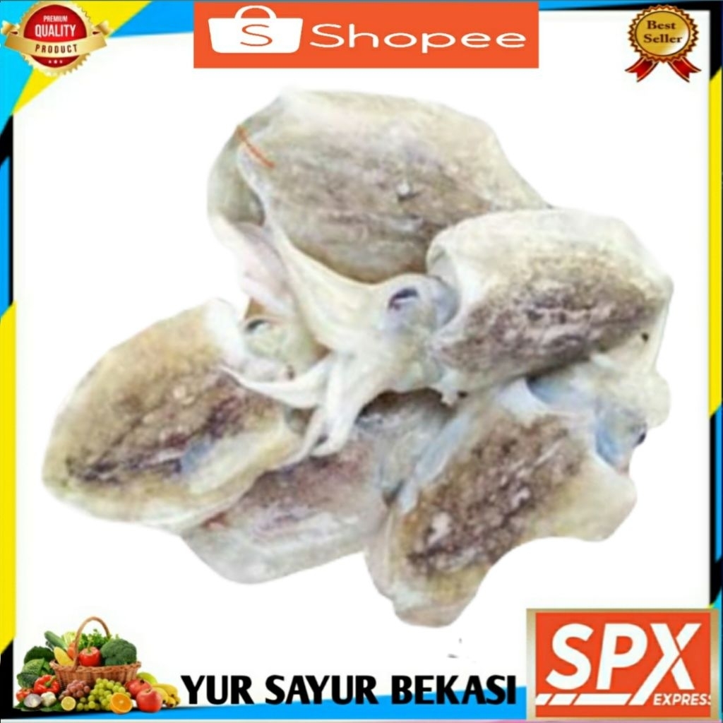 

Cumi Sotong 500gr.