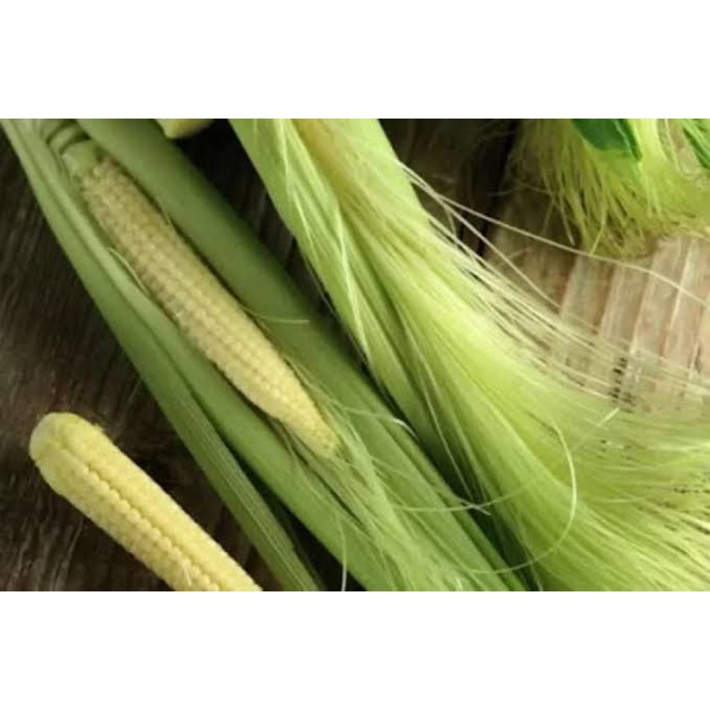 

INSTAN - BABY CORN | ANAK JAGUNG | JAGUNG MUDA PER 4 pcs