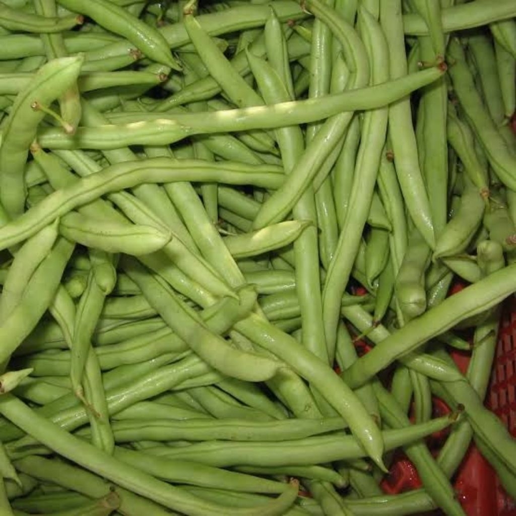 BUNCIS SAYUR BUNCIS FRESH