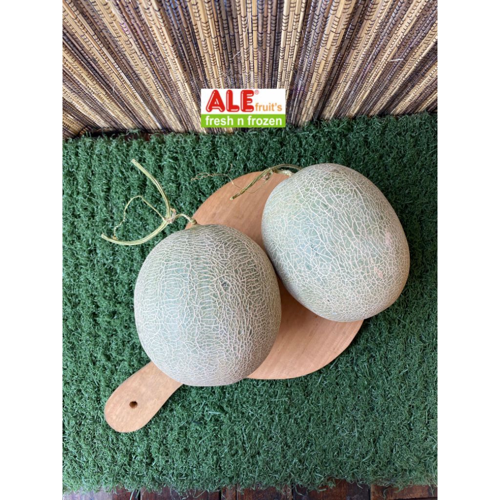 

Melon sky rocket fresh, melon super, buah melon sky rocket