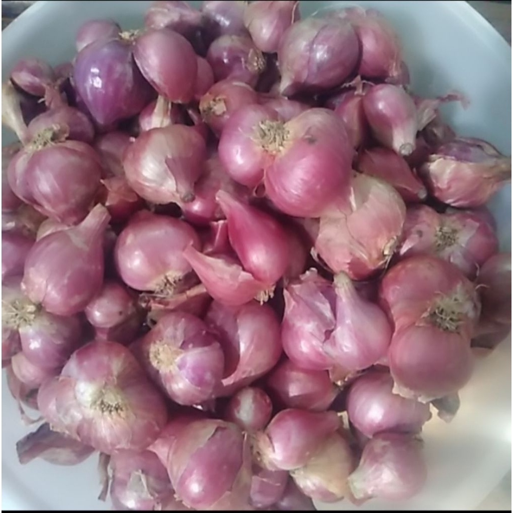 

Bawang merah tanggung .kering