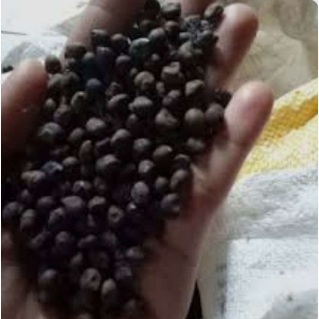 

BIJI KAPUK RANDU / 25gram