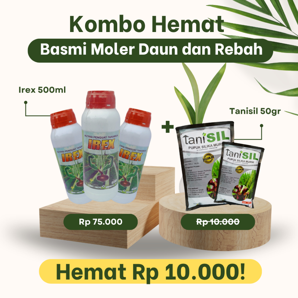 Pupuk Moler dan Padi Rebah IREX + TANISIL - Ampuh Mencegah Moler Daun dan Padi Rebah