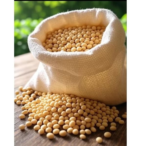 🇨🇦 Kedelai Kanada – Organik Non-GMO Jenis Mata Putih untuk Tahu, Tempe & Susu Kedelai (1Kg)