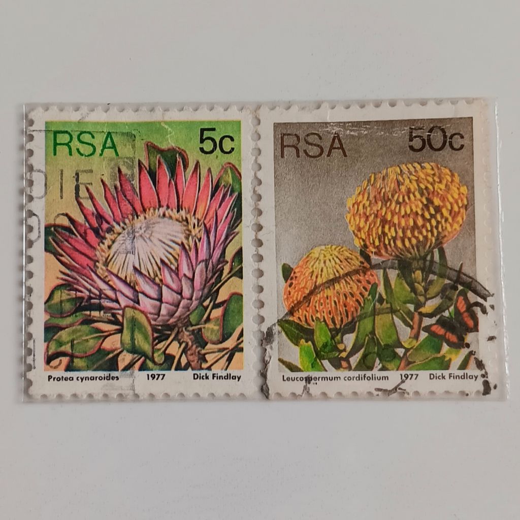 

(AB) Perangko Afrika Selatan 1977 Sugarbushes Set 2 pcs Used