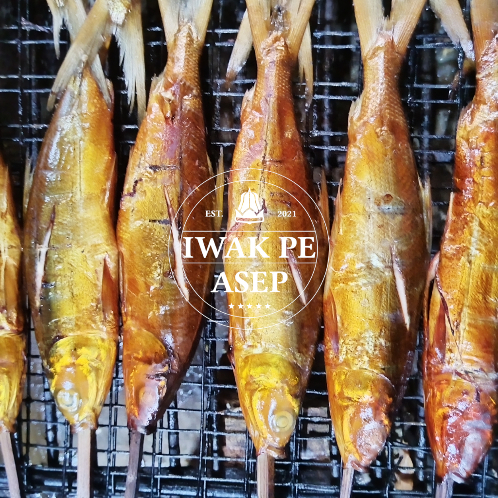 

IWAK PE ASEP IKAN BANDENG ASAP BANDENG PANGGANG