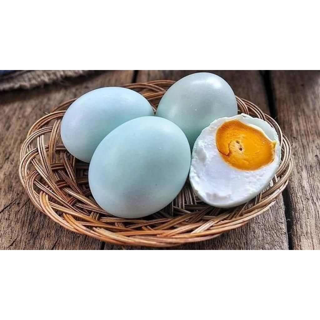 

TELUR ASIN ORIGINAL MASIR