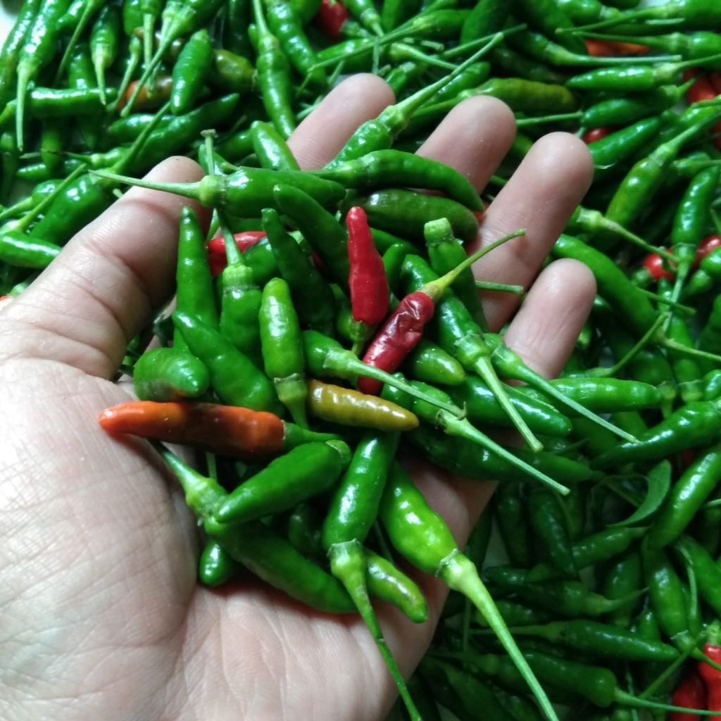 

Cabe Rawit Segar 500 gram