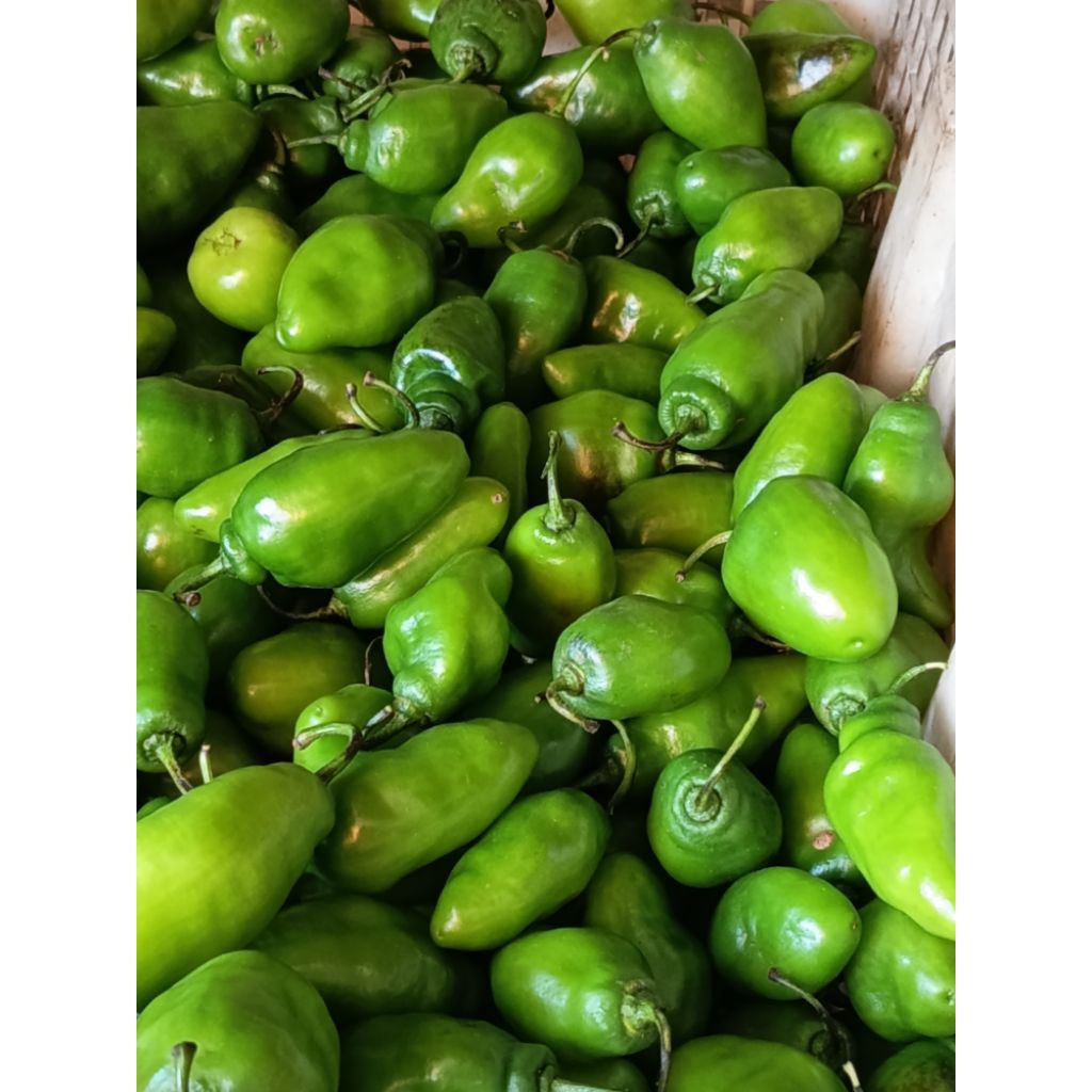 

Cabe Gendot fresh Bandung