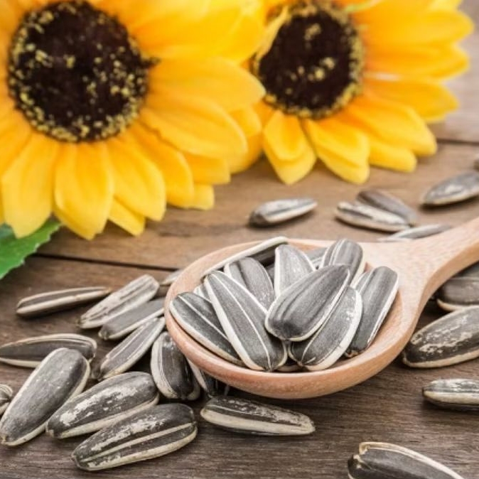 

kuaci mentah 1kg cemilan enak lezat banyak manfaat / biji bunga matahari mentah, makanan ringan snack