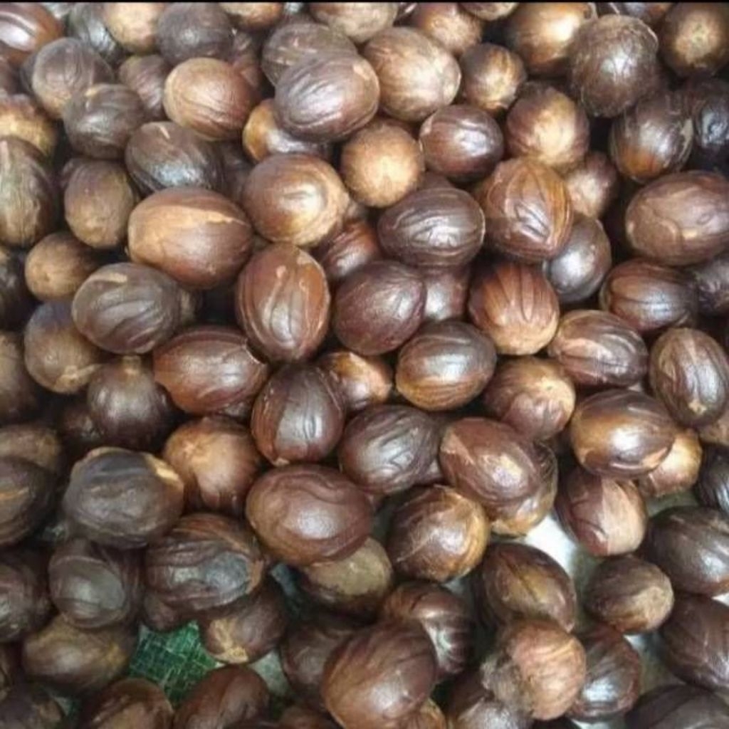 

biji pala kering kawalitas trbaik/biji pala kering alami berat 1 kg