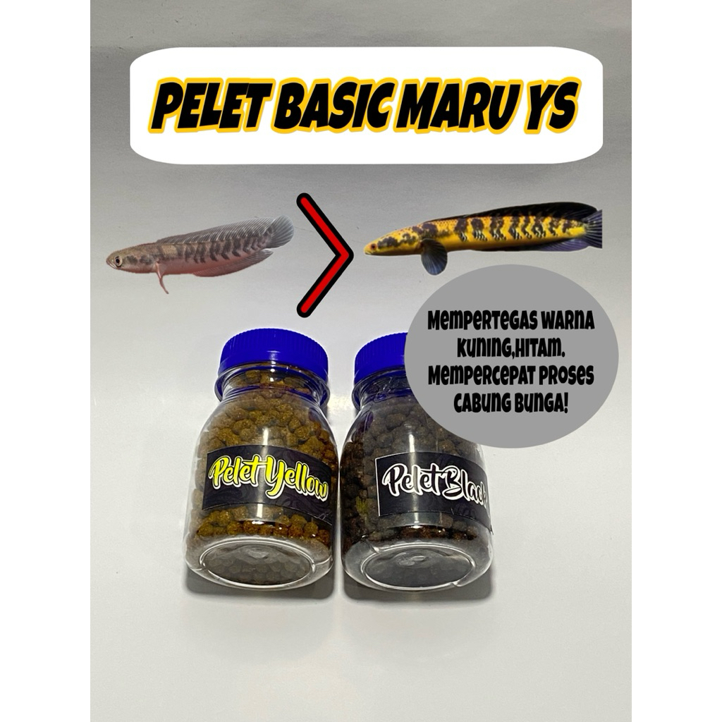 PELET MARU YS TERMURAH POWERFULL 3mm - Pakan Channa maru ys - pelet channa maru