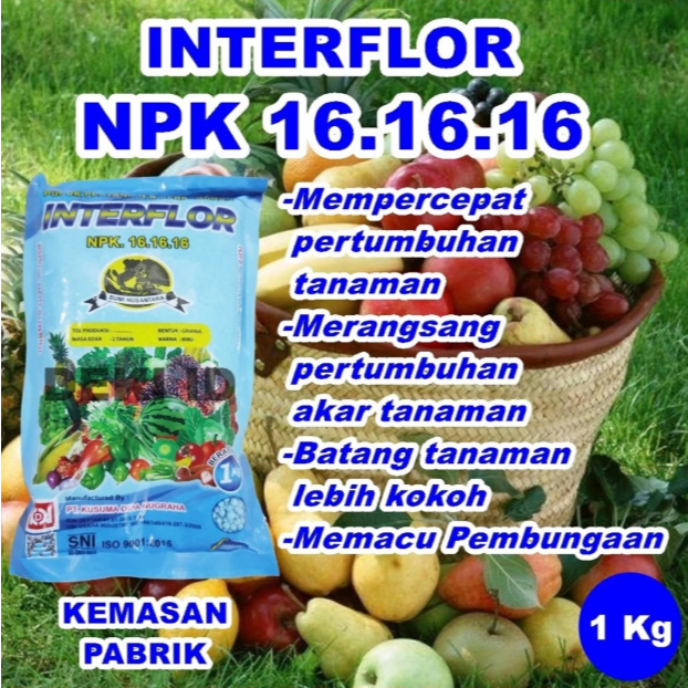 Pupuk Interflor 1 Kg NPK 161616 Kemasan Pabrik Nutrisi Pertumbuhan Tanaman Mutiara Pak Tani