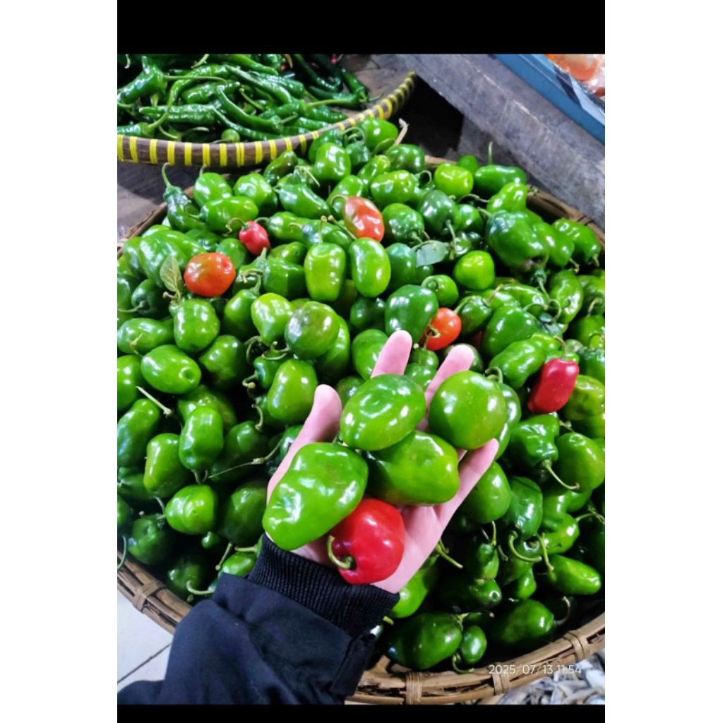 

cabe bendot kemasan 1000gr