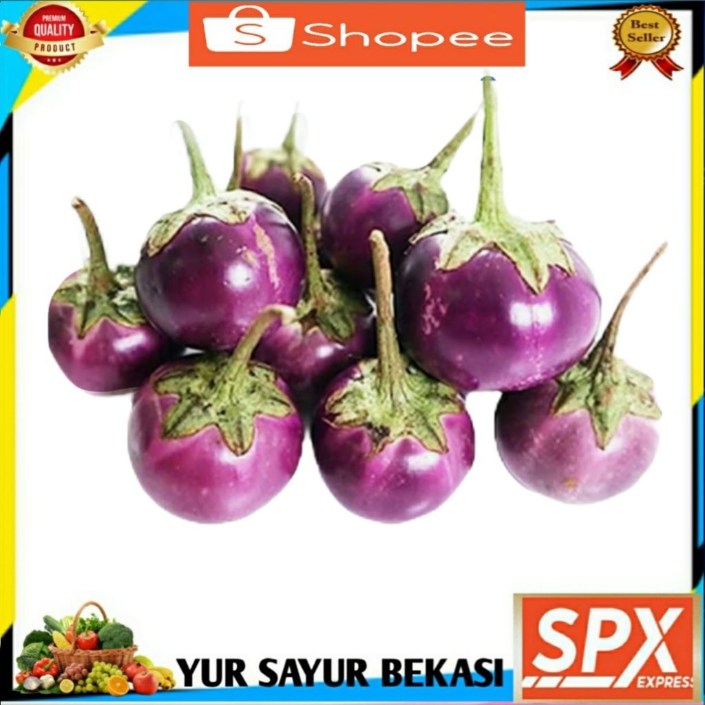 

Terong Ungu Bulat 250gr.