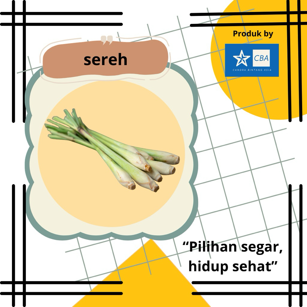 

Sereh Segar Siap Kirim – 250gr/500gr/1kg – Wangi & Fresh Harian Siap Kirim!