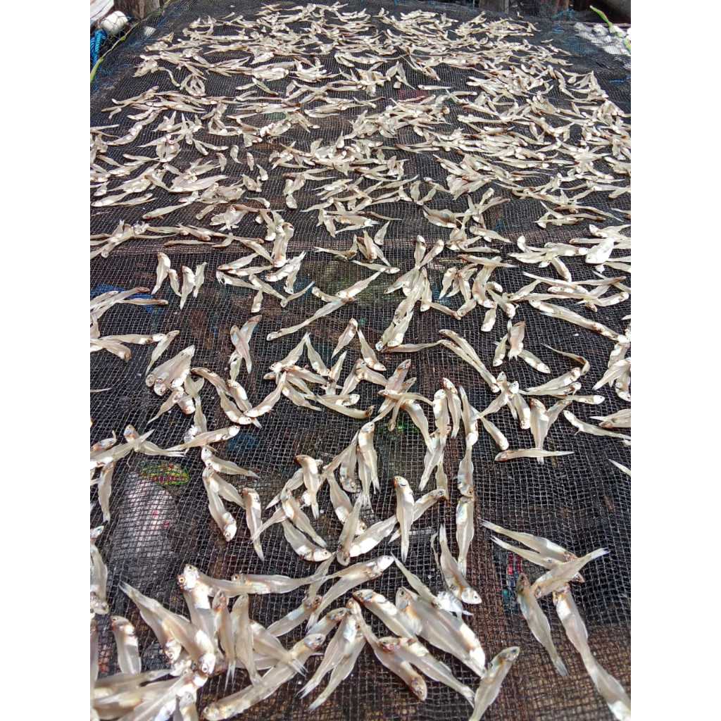

ikan teri kering