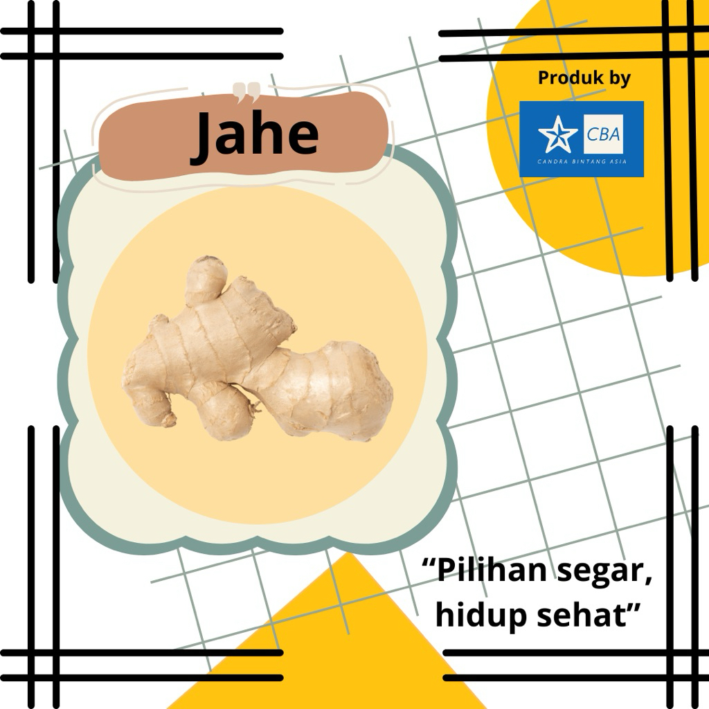 

Jahe Segar 250gr/500gr/1kg – Rempah Dapur & Minuman Herbal Fresh Siap Kirim!