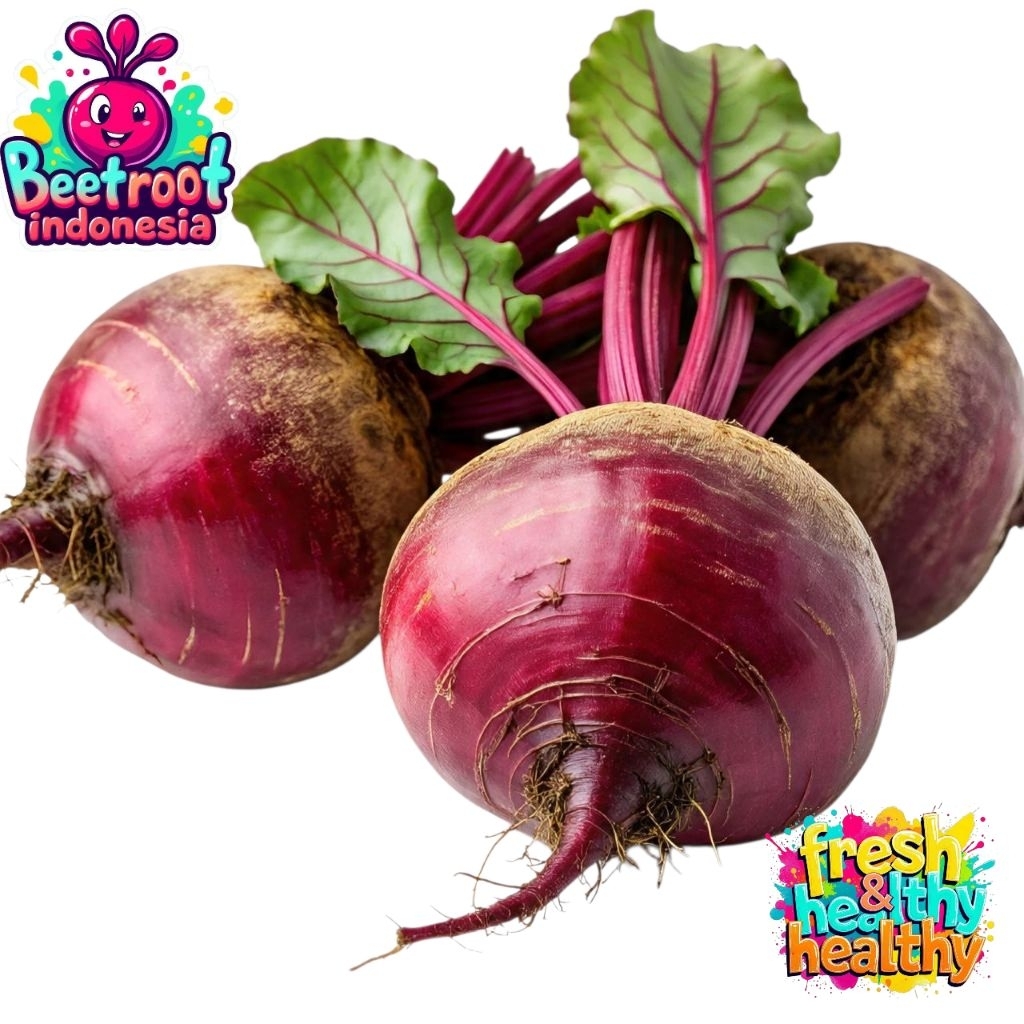 

Buah bit segar 500 gr/beetroot fresh kualitas super