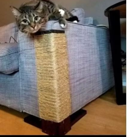 CAKARAN KUCING PELINDUNG SOFA dari Cakaran Kucing