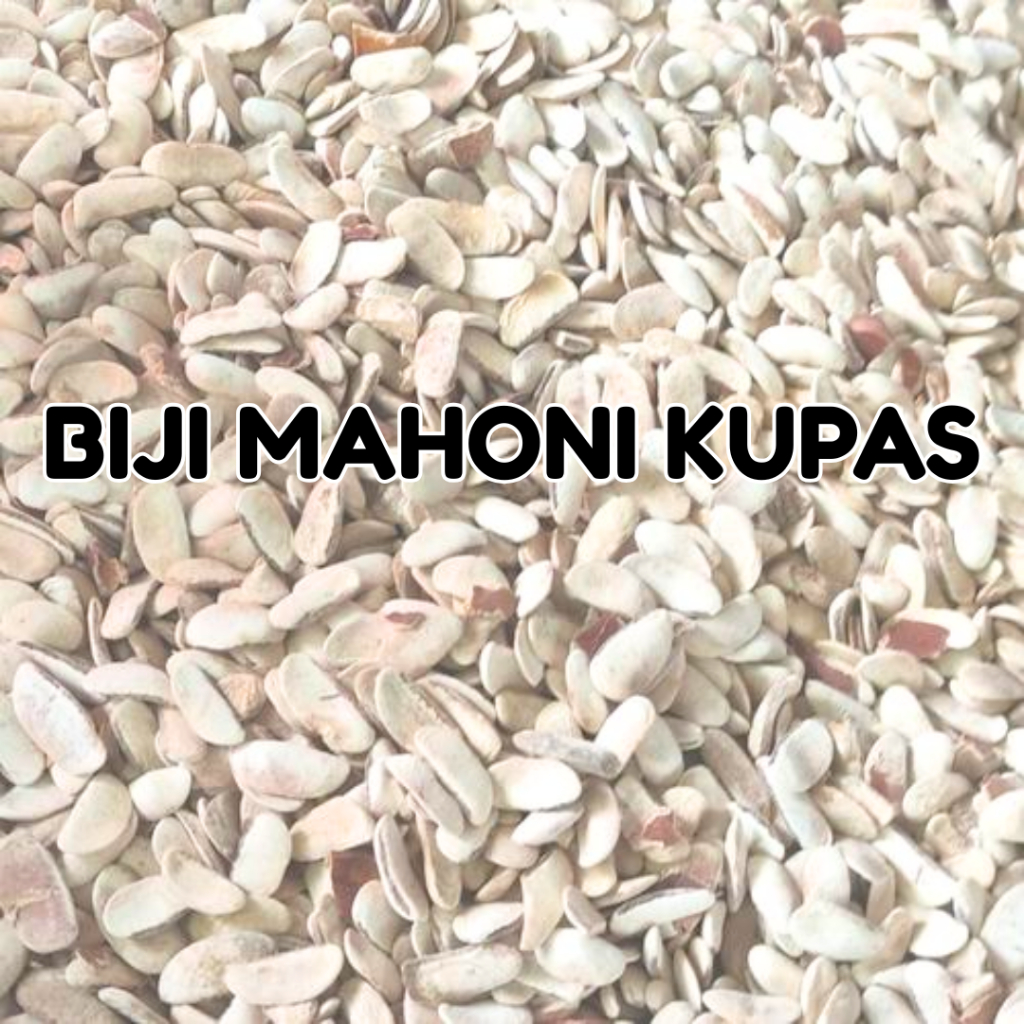 

Biji Mahoni Kupas 100 gram