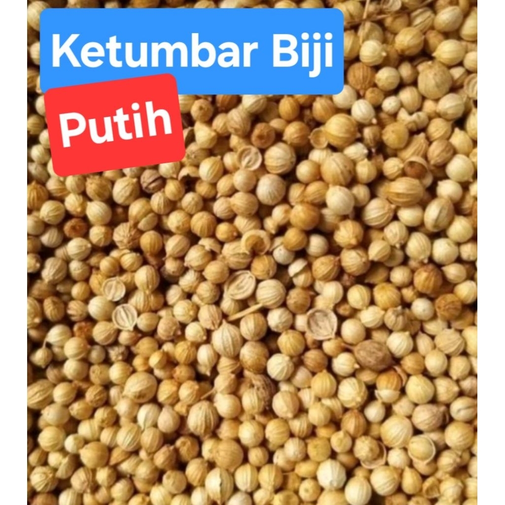 

Ketumbar Ketumbar Biji Putih & Bersih 100 gram