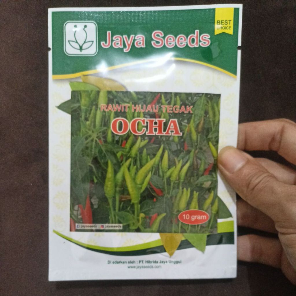 BIBIT BENIH CABE RAWIT CAPLAK HIJAU Tahan Virus OCHA ISI 10 GRAM JAYA SEEDS