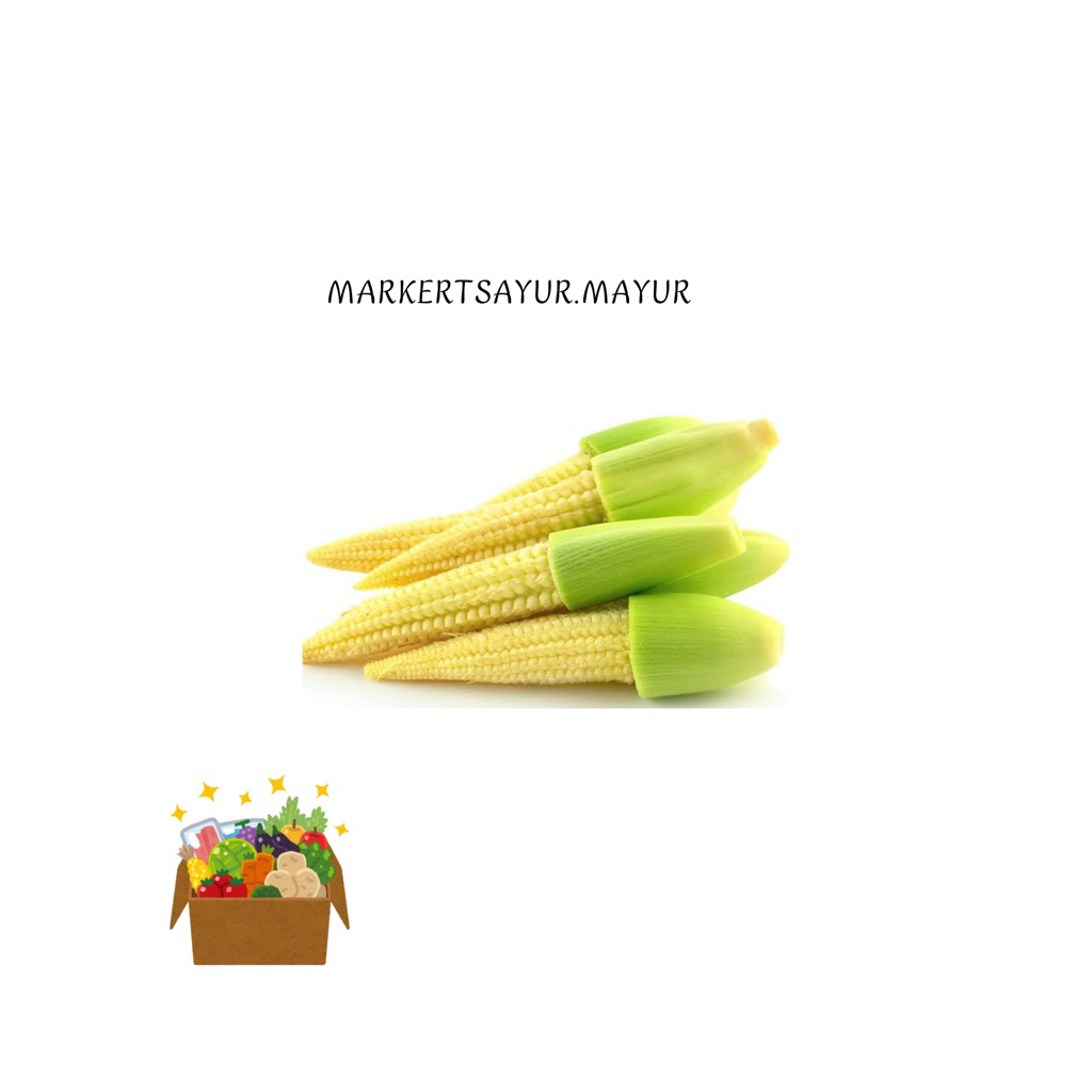 

KIRIM INSTAN JAGUNG MUDA - BABY CORN KEMASAN ISI 100gram