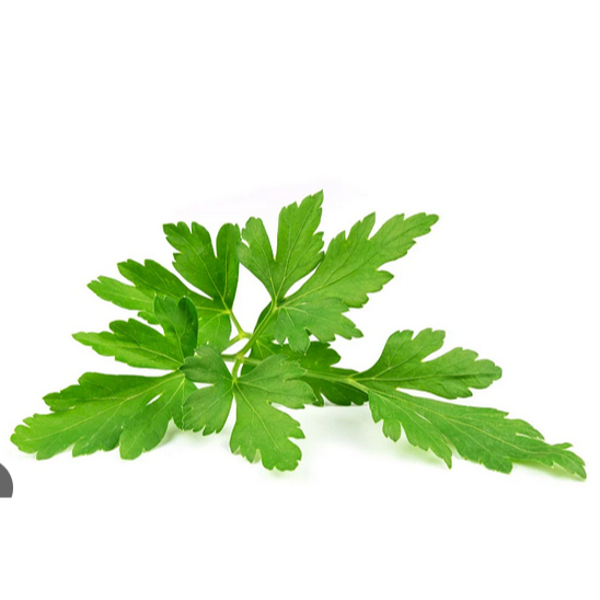 

Daun Parsley Per Ons | JBP_Fresh