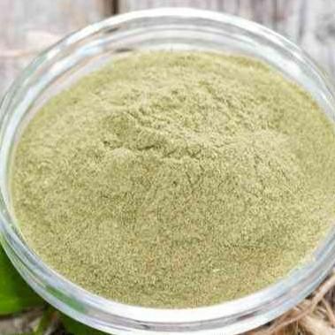 

HS Dried Celery Powder Dry Celery / Daun Seledri Bubuk Kering Bubuk Seledri Celery Powder Simplisia Serbuk Kering Sledri