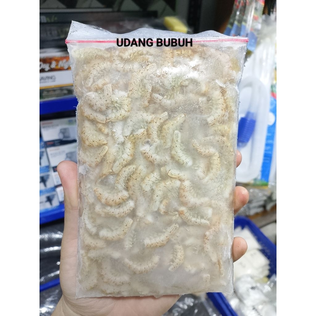 UDANG BUBU BEKU // PAKAN IKAN ARWANA SUPER RED // MEMPERCEPAT WARNA MERAH