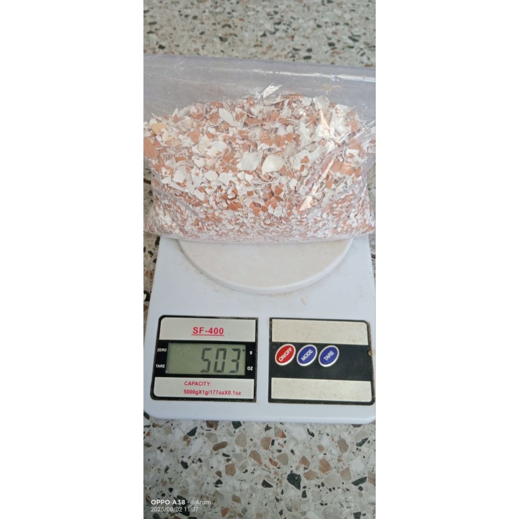 

kulit cangkang telur 500gram