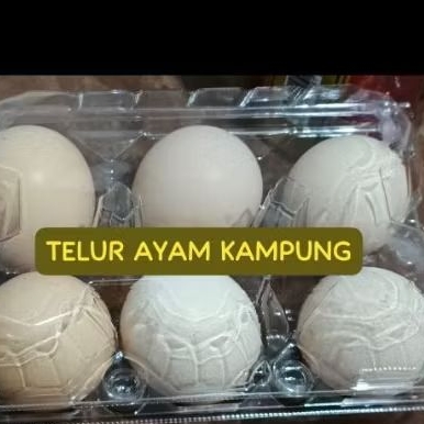 

Telur Ayam Kampung