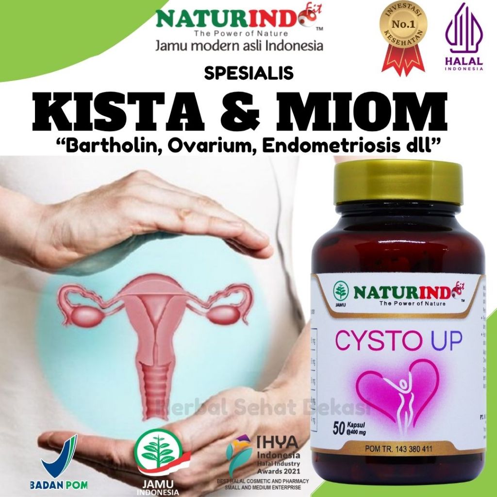 Kista Ovarium Coklat Bartholin Herbal Myom Rahim PCOS Herbal Cysto Up Naturindo