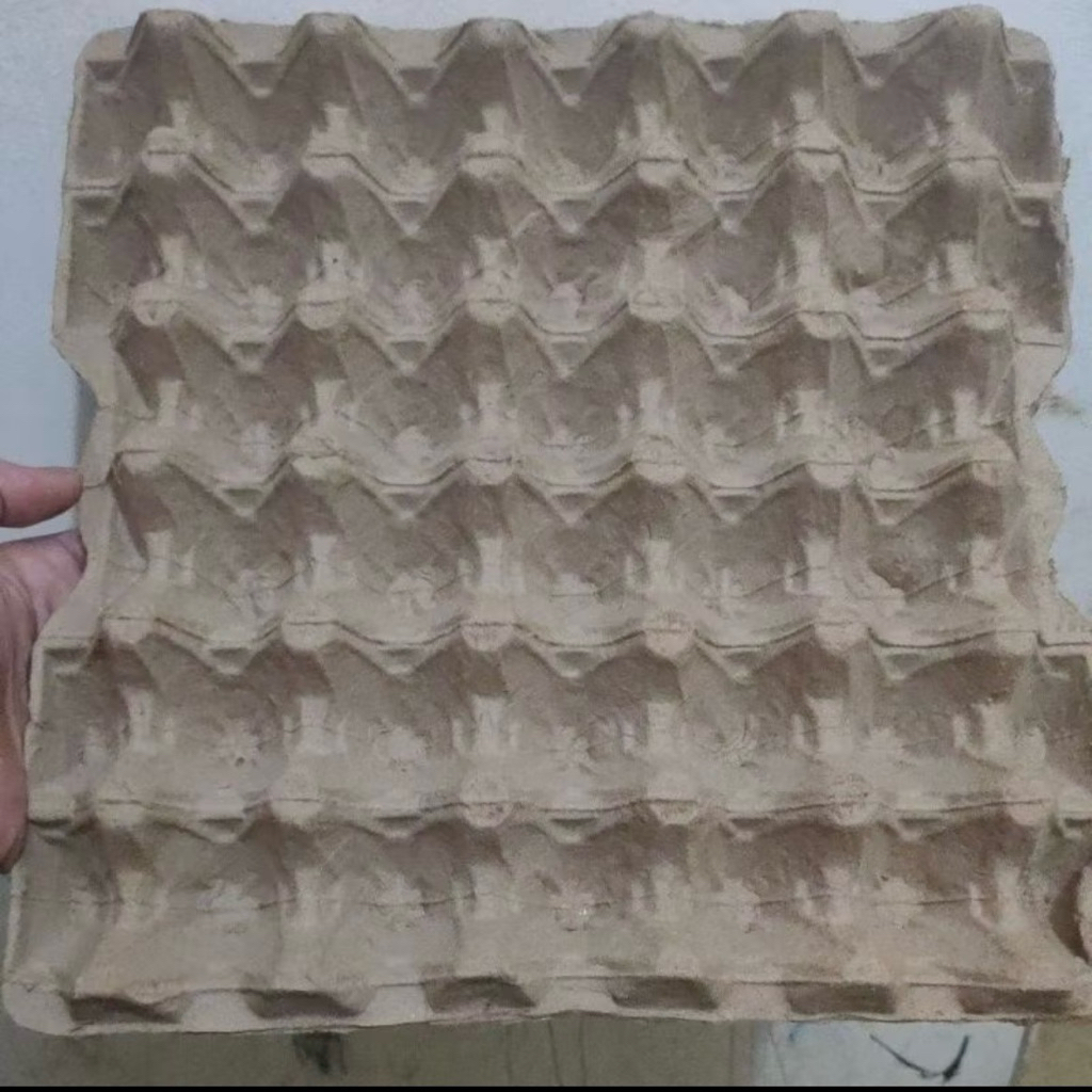 EGG TRAY KARTON / WADAH TELUR / TATAKAN TELUR AYAM BEBEK KONDISI BARU