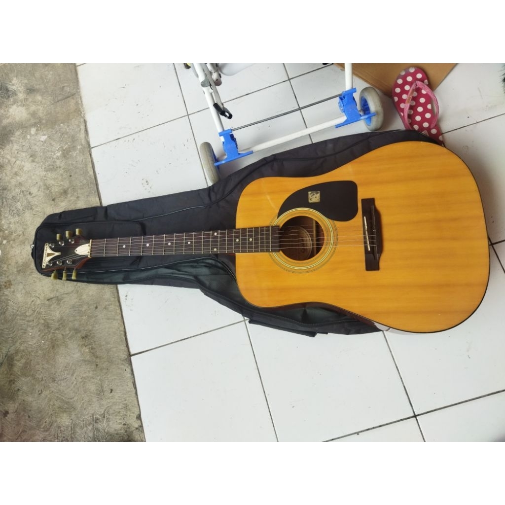 epiphone pro 1