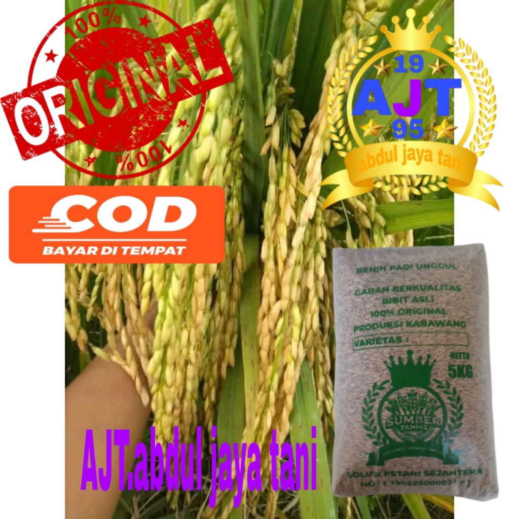 benih padi BIMA SAKTI original kemasan 5kg
