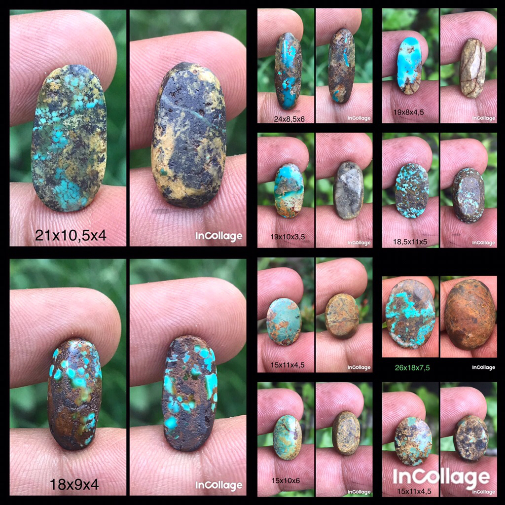 PIRUS PERSIA.NATURAL PIRUS PERSIA