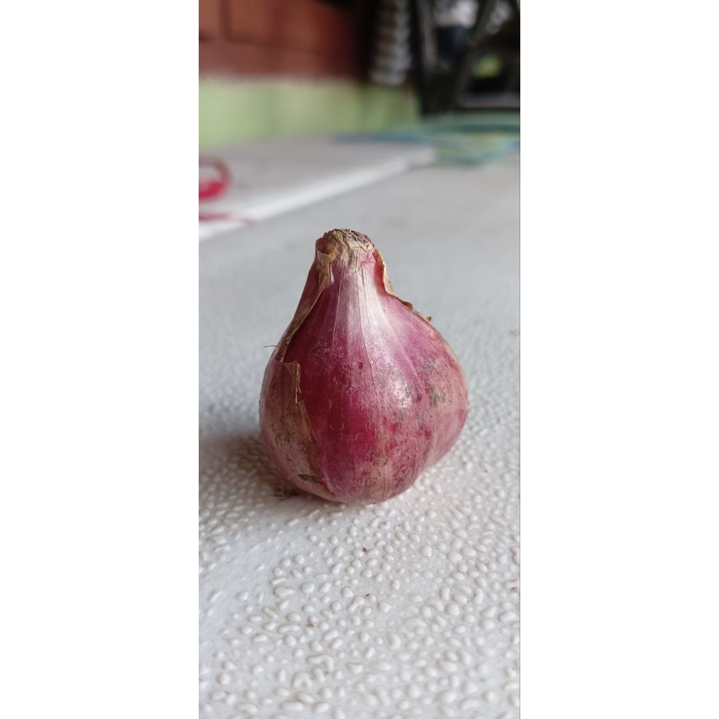 

Bawang Merah Brebes 250