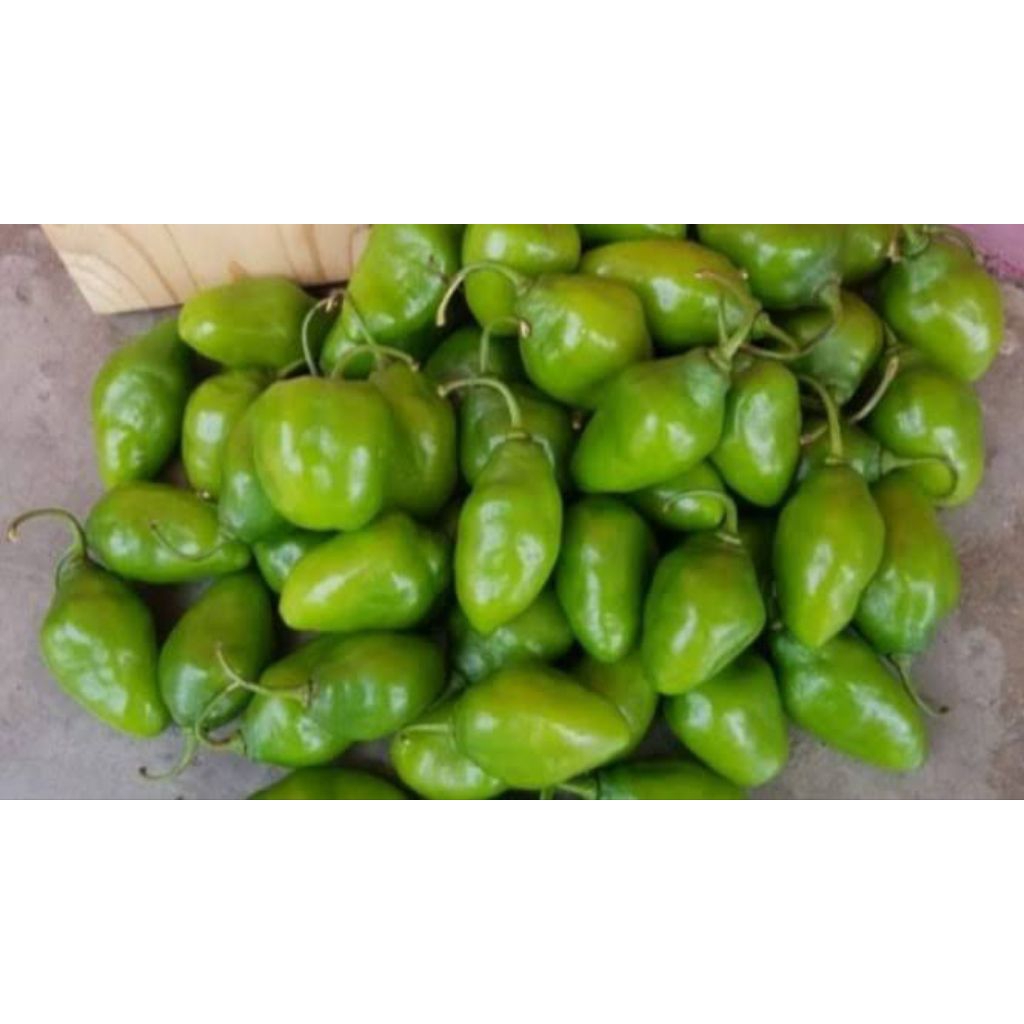 

cabai gendot 250 gram - tani syukur 165