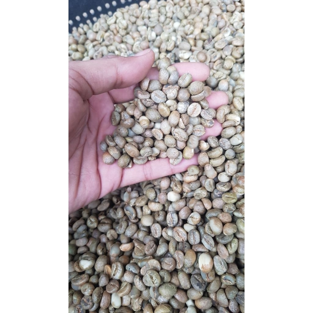 

Green Bean Robusta 5kg
