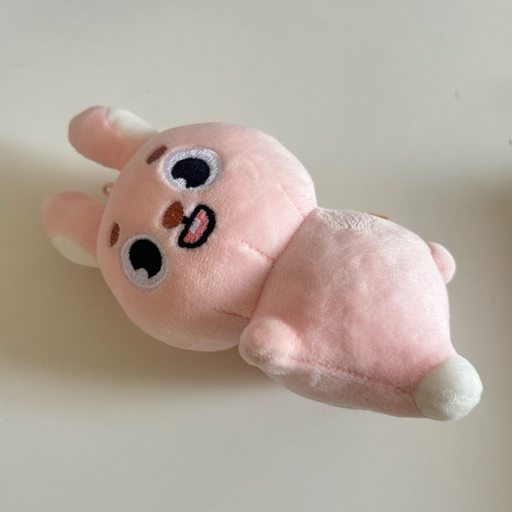 Official Handwarmer Denimalz DAY6 Pil 2025